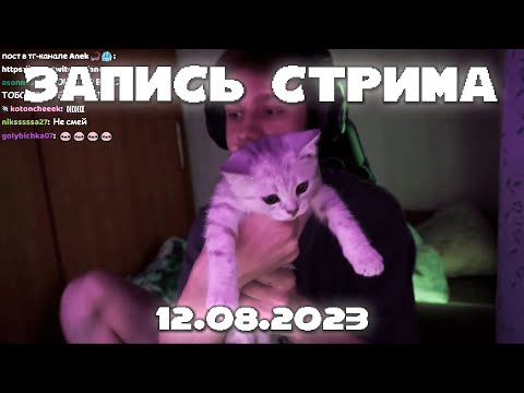 Видео: ПОЛНАЯ ЗАПИСЬ СТРИМА 12.08.23 | АНЕК ПРО КОТА ДИПИНСА + СМОТРИТ ОКБЛОГЕР + ИГРАЕТ ХОРРОР + НЕКТОМИ