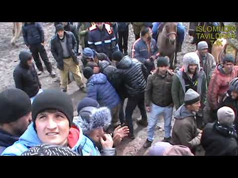 Видео: АСП-ПОЙГАҲ ДАР МАСОФАИ 6-КМ. дар деҳаи Сабзихарф приз то ҷойи 6-ум Сангвор Тавилдара 14.03.2021.