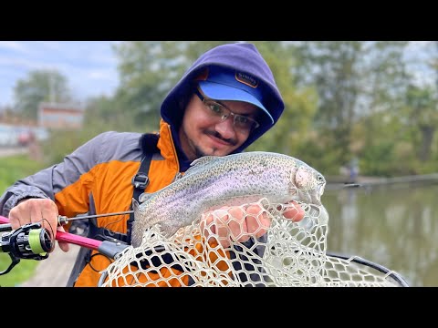 Видео: ФОРЕЛЬ З КОЖНОГО ЗАКИДУ! Спінінги тріщать, руки болять, а вона ЇСТЬ! РИБАЛКА МРІЇ!