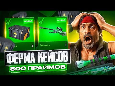Видео: МОЙ ЗАРАБОТОК ЗА НЕДЕЛЮ С ФЕРМЫ НА 800 ПРАЙМОВ в КС 2!