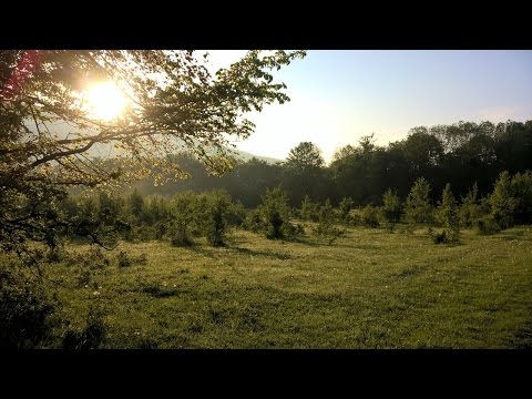 Видео: Ст. Шапсугская Дольменное городище