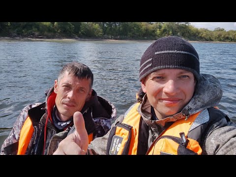 Видео: Рыбалка на Куйбышевском водохранилище. Окунь, Щука, Судак на спиннинг.