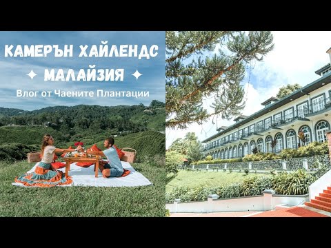 Видео: ВТОРА СПИРКА В МАЛАЙЗИЯ | ✧ ПИКНИК СРЕД ЖИВОПИСНИТЕ ЧАЕНИ ПЛАНТАЦИИ В КАМЕРЪН ХАЙЛЕНДС ✧ | ТАНА РАТА