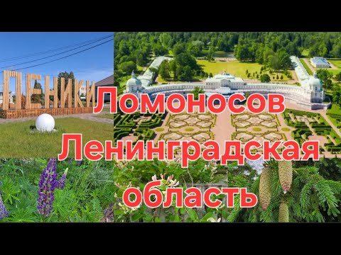 Видео: Рынок в Ломоносове, деревни в Ленинградской области. Природа в ЛО