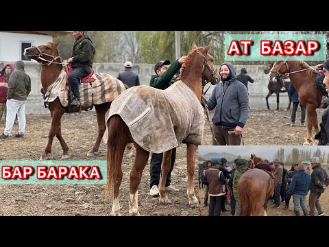 Видео: НООКАТ АТ БАЗАРЫ РЕАЛДУУ САТЫЛГАН БААЛАР 29-Октябрь