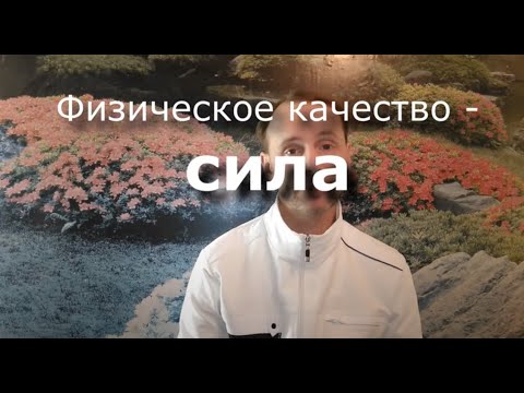 Видео: Сила - разбираем физическое качество