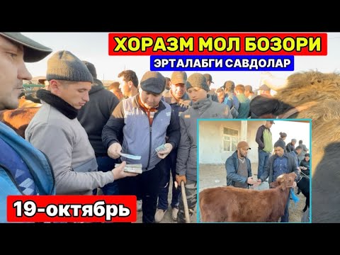 Видео: ХОРАЗМ МОЛ БОЗОРИ.. ЭРТАЛАБГИ САВДОЛАР ЁШ ХЎКИЗЧАЛАР 19-октября 2025 г.