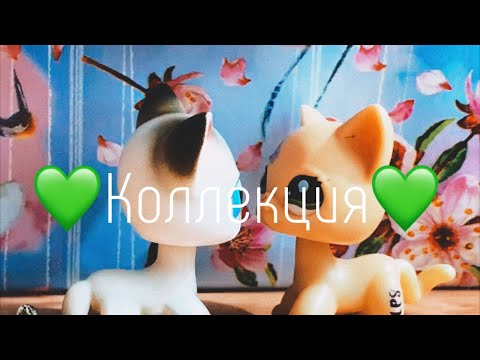 Видео: Моя коллекция ЛПС😍