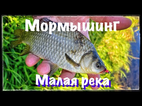Видео: Мормышинг ! Малая река в Подмосковье !