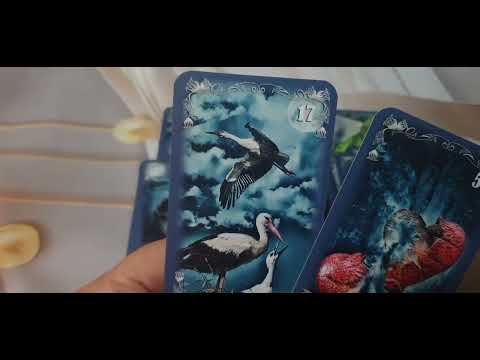 Видео: Змията ще бъде наказана⚡️👉💯