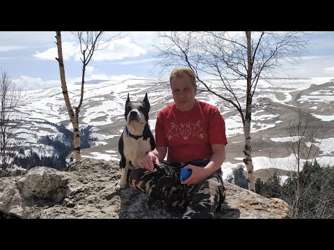 Видео: 🐶 Собака-кусака 17