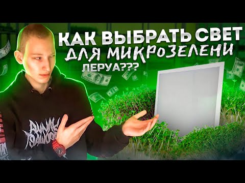 Видео: Свет для микрозелени! Как выбрать? Сколько нужно ватт? Бизнес!