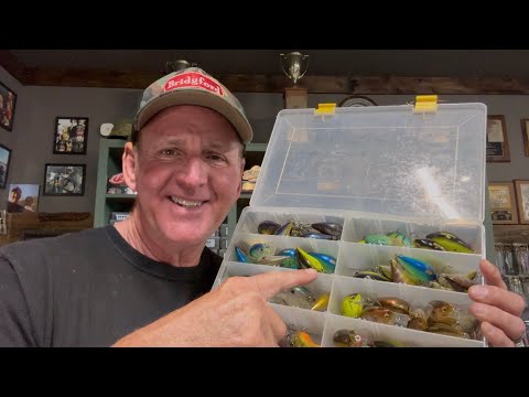 Видео: Вы больше никогда не будете использовать ЭТИ популярные цвета приманок после просмотра ЭТОГО…