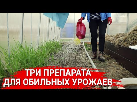 Видео: Три препарата для обильных урожаев