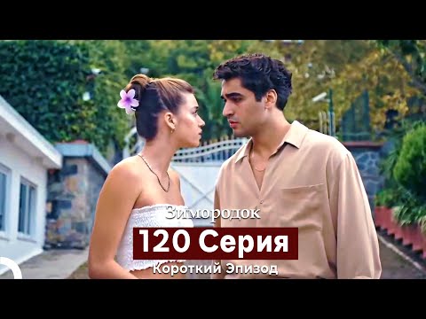 Видео: Зимородок 120 Cерия (Короткий Эпизод) (Русский дубляж)