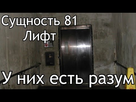 Видео: The Backrooms | Сущность 81 | База данных