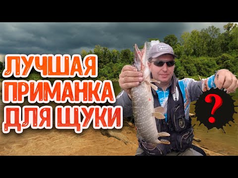 Видео: Секретная приманка для ловли в коряжнике