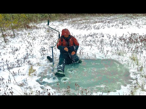 Видео: Пробурил лужу в торфянике и кивок загнуло. Дикий ЖОР в нано озере. Рыбалка 2022