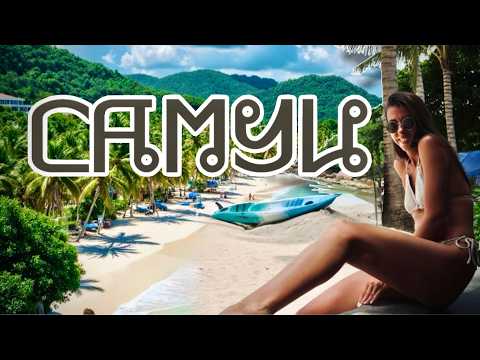 Видео: САМУИ 2025 🏖️🥥 ШОК! УЖАЛИЛА МЕДУЗА НА ЧАВЕНГЕ!  РАЙСКИЙ ОСТРОВ! ТАИЛАНД 2025! ОБЗОР | ЦЕНЫ | ПЛЯЖ