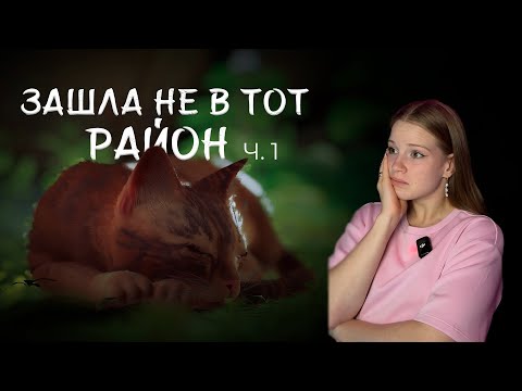 Видео: Забрела не в тот район | Stray — 1 часть | Софянка