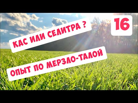 Видео: КАС или Селитра - опыт 2020 по мерзло-талой почве, начало...