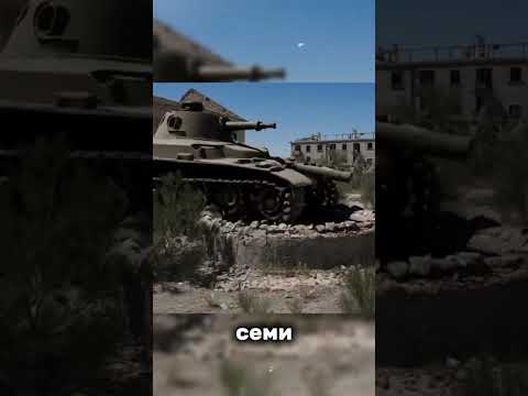 Видео: Что стало с Дорой ?