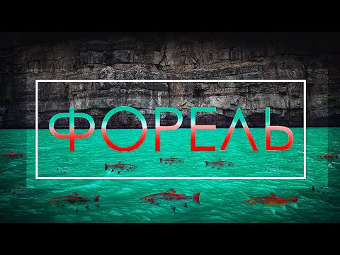 Видео: Река Кштут и озеро Айгыркуль. Говорящая форель Сурхандарьи