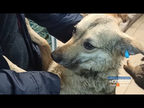 Видео: 5 лет непростого пути