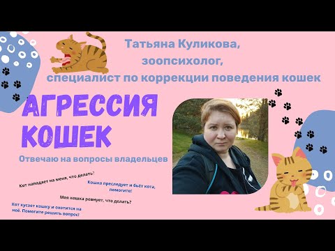 Видео: Агрессия кошек. Отвечаю на вопросы подписчиков.