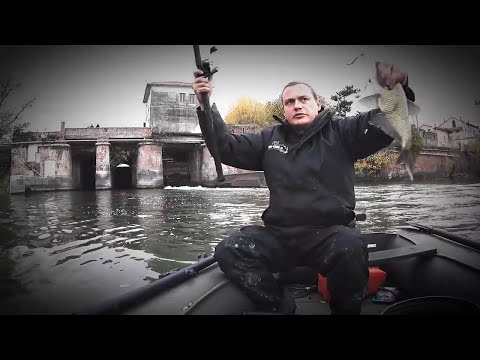 Видео: О ловле сома. Вопросы и ответы #2