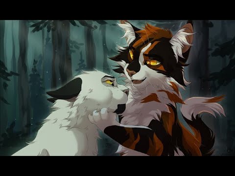 Видео: Коты Воители - Проклятие русалки