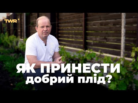 Видео: Як принести добрий плід? | Олександр Чмут