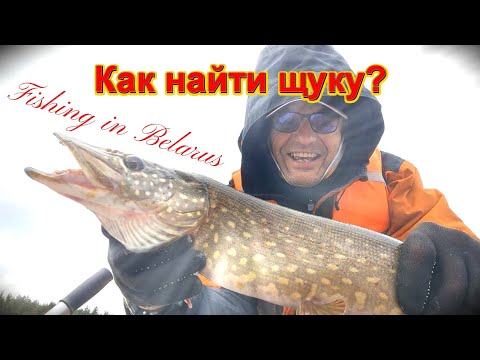 Видео: Я её нашёл)Твич и джиг на водохранилище.Fishing in Belarus.26.10.2025