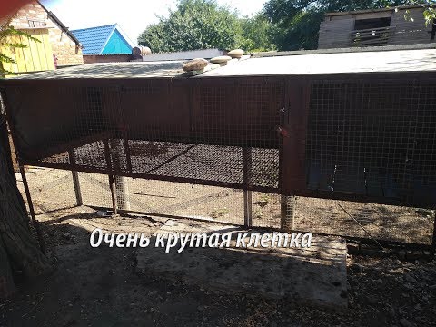 Видео: СУПЕР КЛЕТКА ДЛЯ НУТРИЙ.
