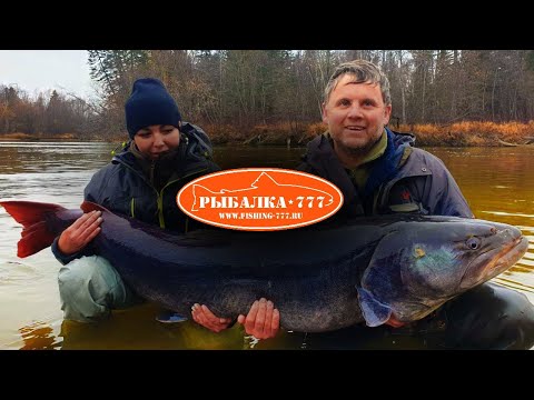 Видео: Ловля трофейного тайменя видео в сибири. Рыболовный тур на реку Тугур.