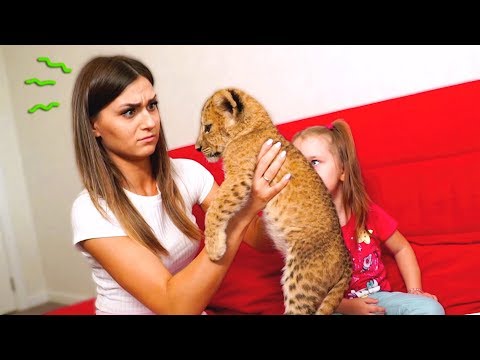 Видео: Король лев в нашем доме 😱! Дима стал симбой 🦁
