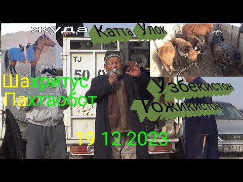 Видео: Улок Шахритус жуда катта улок Тожикистон Узбекистон 19 12 2023 лаек