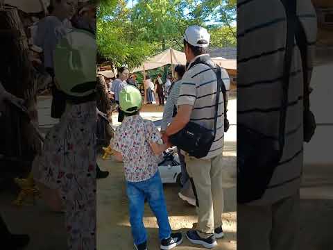 Видео: 10 октября 2025 г.