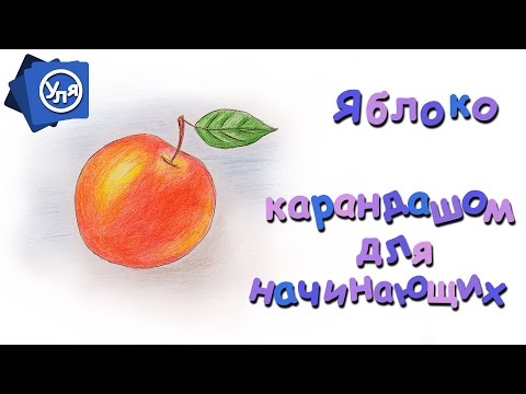 Видео: Как нарисовать яблоко // Как нарисовать фрукты карандашом для начинающих