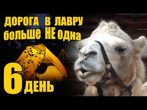 Видео: МОЯ дорога в Лавру. Хотьково, Радонеж, Кочевник. Обретаю спутника в пути. Шестой день похода.