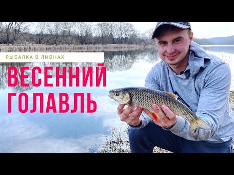 Видео: ВЕСЕННИЙ ГОЛАВЛЬ 2020.ДОНКА.РЫБАЛКА НА ХЛЕБ.