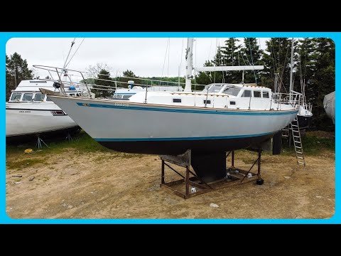 Видео: ИДЕАЛЬНЫЙ бюджетный круизер для пары? [Полный обзор] Изучаем маршруты