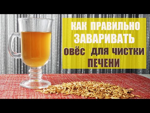 Видео: Как ПРАВИЛЬНО заварить  НЕОЧИЩЕННЫЙ ОВЁС ДЛЯ ЧИСТКИ ПЕЧЕНИ