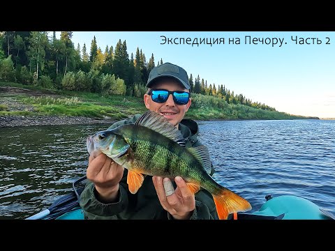 Видео: ОКУНИ-ГИГАНТЫ, БАТЯ НЕ ВЕРИТ! ЩУКИ В КОРЯГАХ. НЕДЕЛЯ В ПАЛАТКЕ. ЭКСПЕДИЦИЯ НА СЕВЕР КОМИ. Часть 2