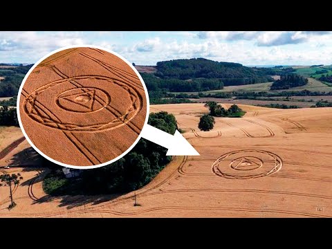 Видео: Круги на полях появились в Бразилии
