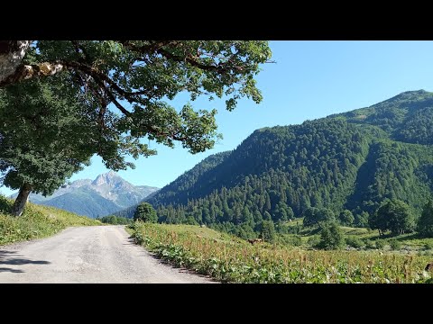 Видео: Абхазия