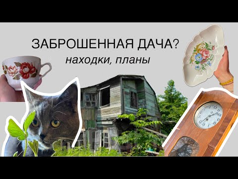 Видео: хотели купить ЗАБРОШЕННУЮ ДАЧУ, а нашли ТАКУЮ! 💗