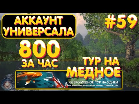 Видео: Аккаунт универсала #59 | 800 серебра за час | ТУР на оз. Медное | Русская Рыбалка 4