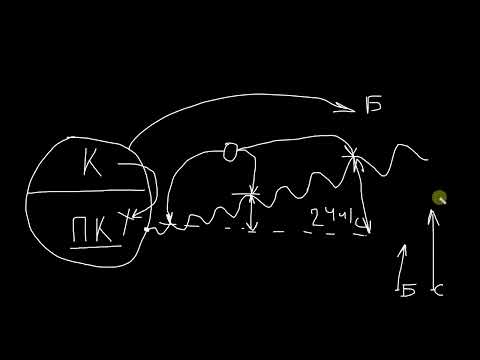 Видео: Главный секрет Похудения методом Шархайта