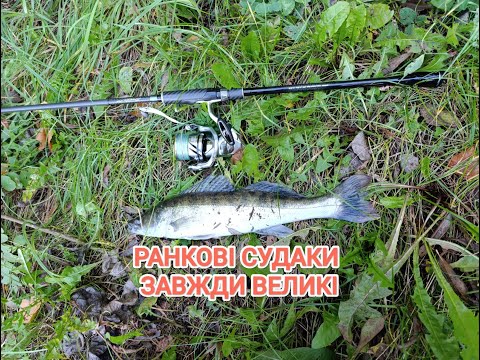 Видео: Поиск утреннего судака. Рыбак с берега на дальнобойный спиннинг. Темный силикон оправдывает надежды